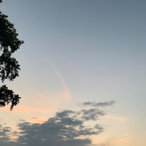 Meet your Posher, Martin